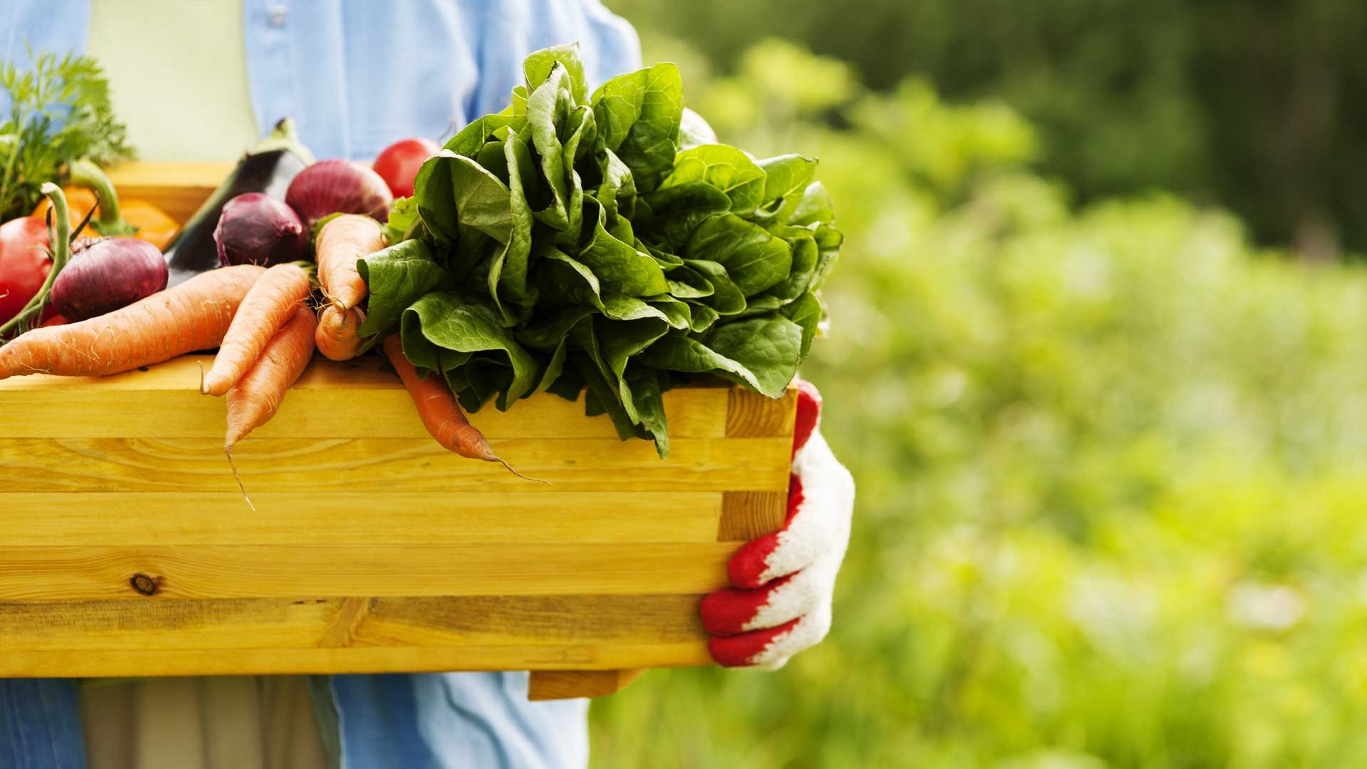 Ferie på et agriturismo i Toscana i Italien er en miljøvenlig ferieform