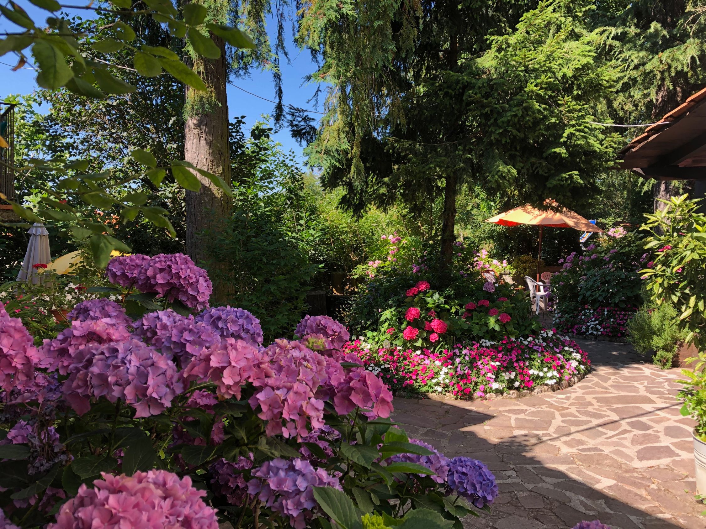 Feriebolgi med valgfri ankomstdato