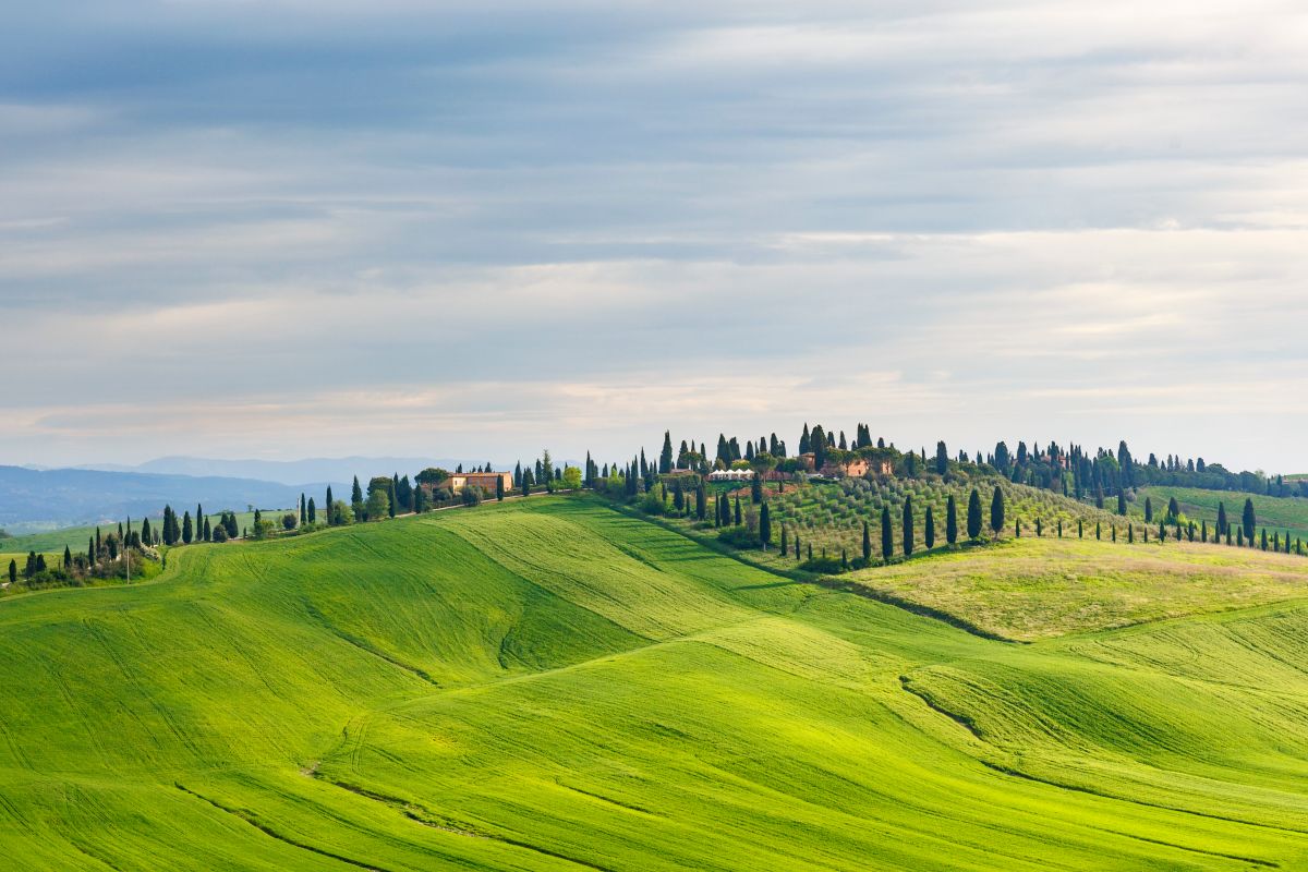 TOSCANA