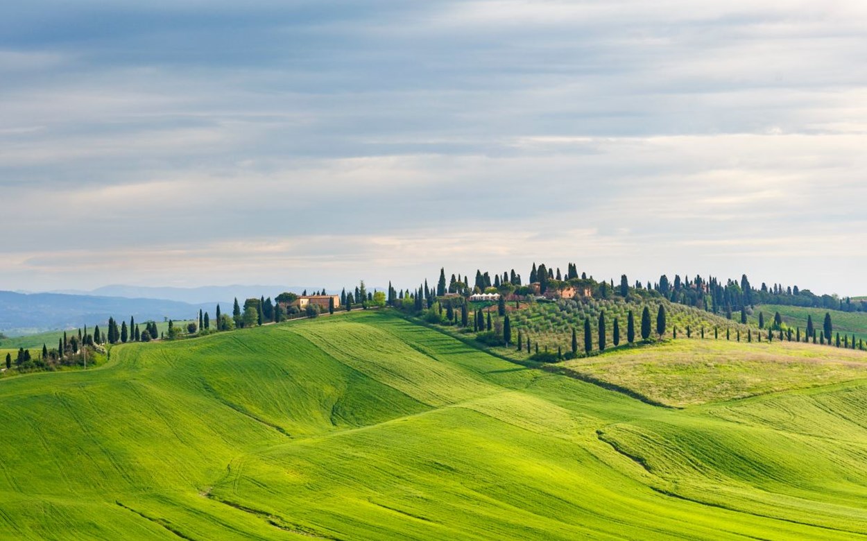 TOSCANA