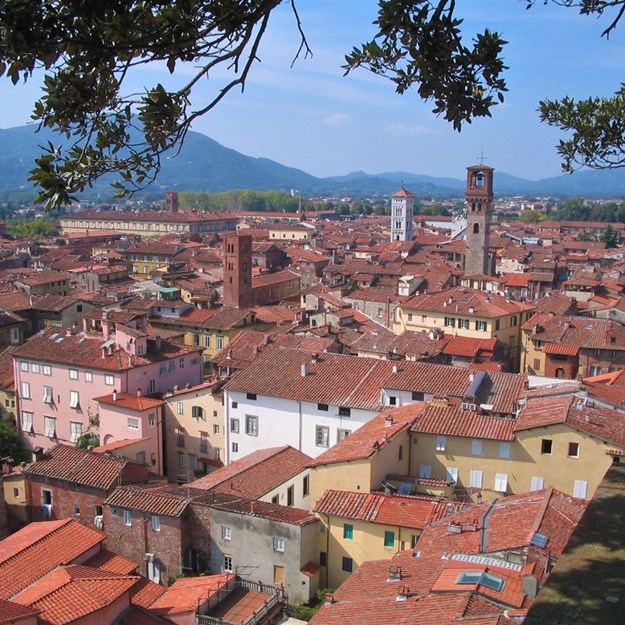 Guinigitårnet i Lucca