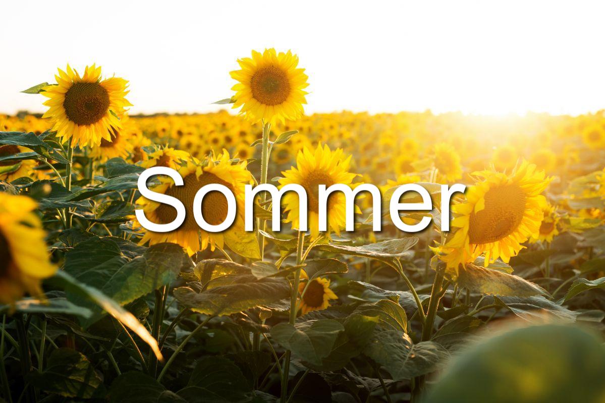 sommer i italien