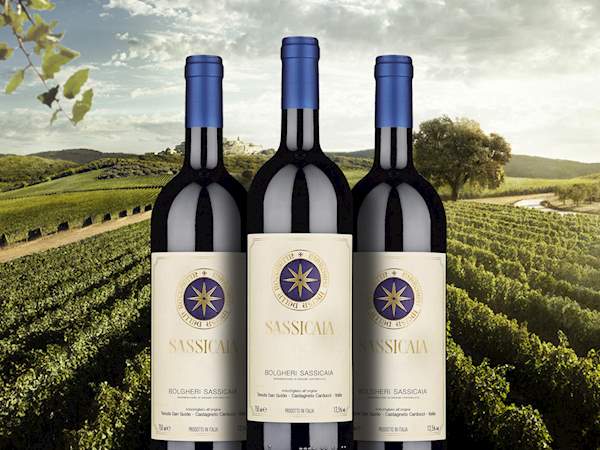 Sassicaia vin