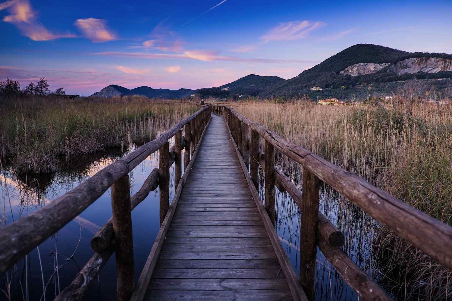 Massaciuccoli national park