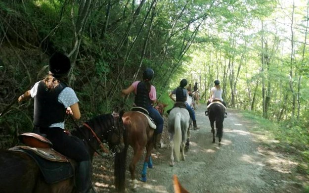 ridning