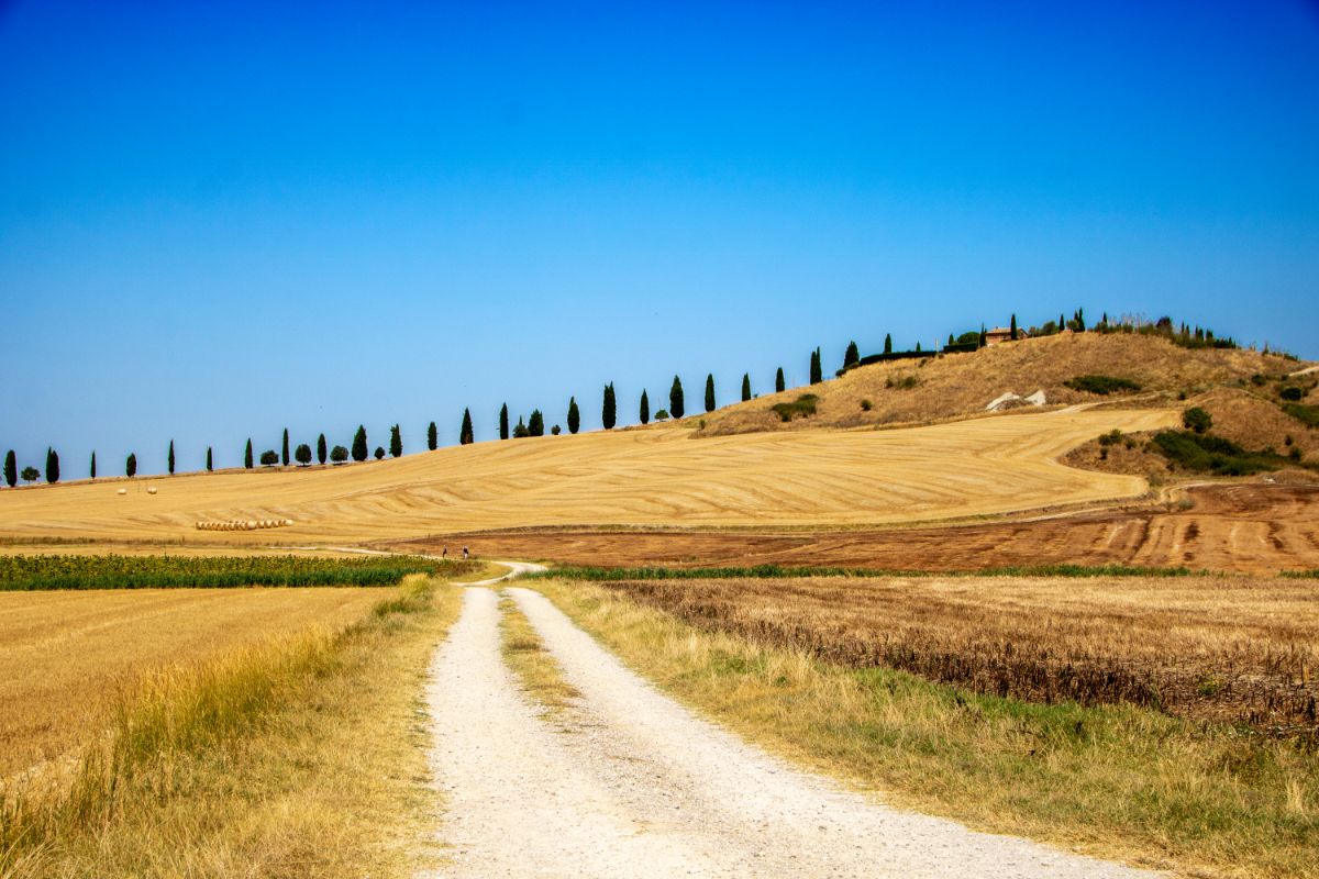 Crete Senesi