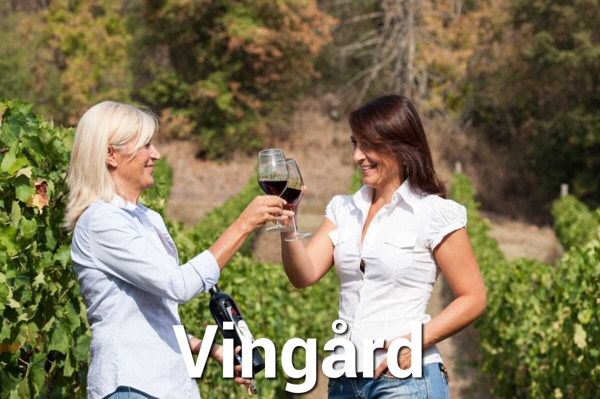 Ferie på vingård med pool i Toscana i Italien