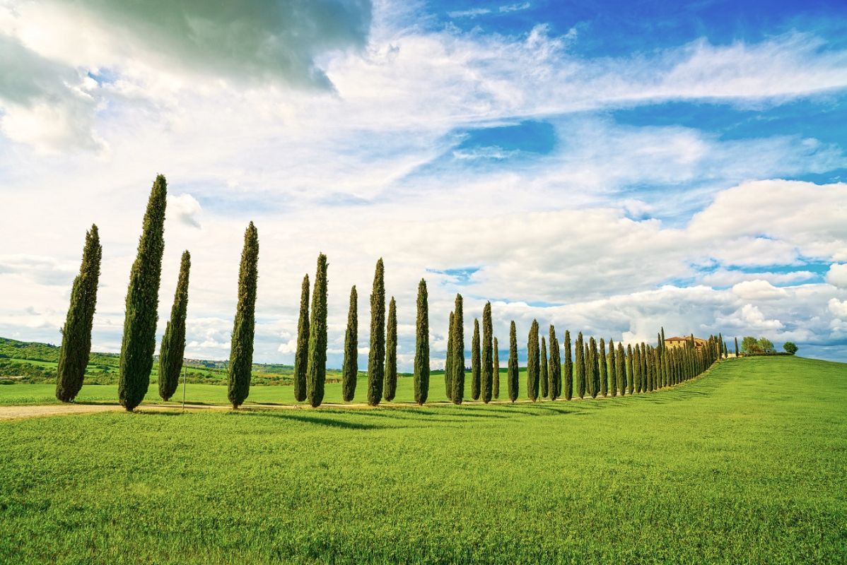 ferie; toscana, italien, toscana-vacanze