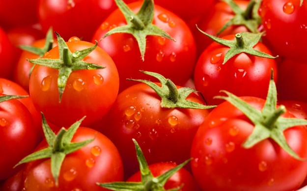 Tomater i Italien