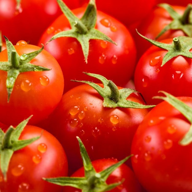 Tomater i toscana