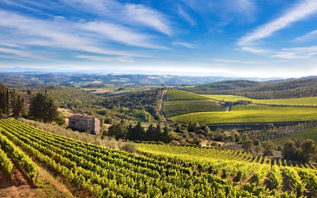Chianti vin område i Toscana i Italien