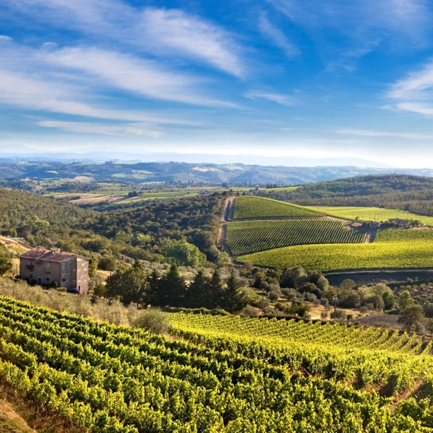 Chianti vin område i Toscana i Italien