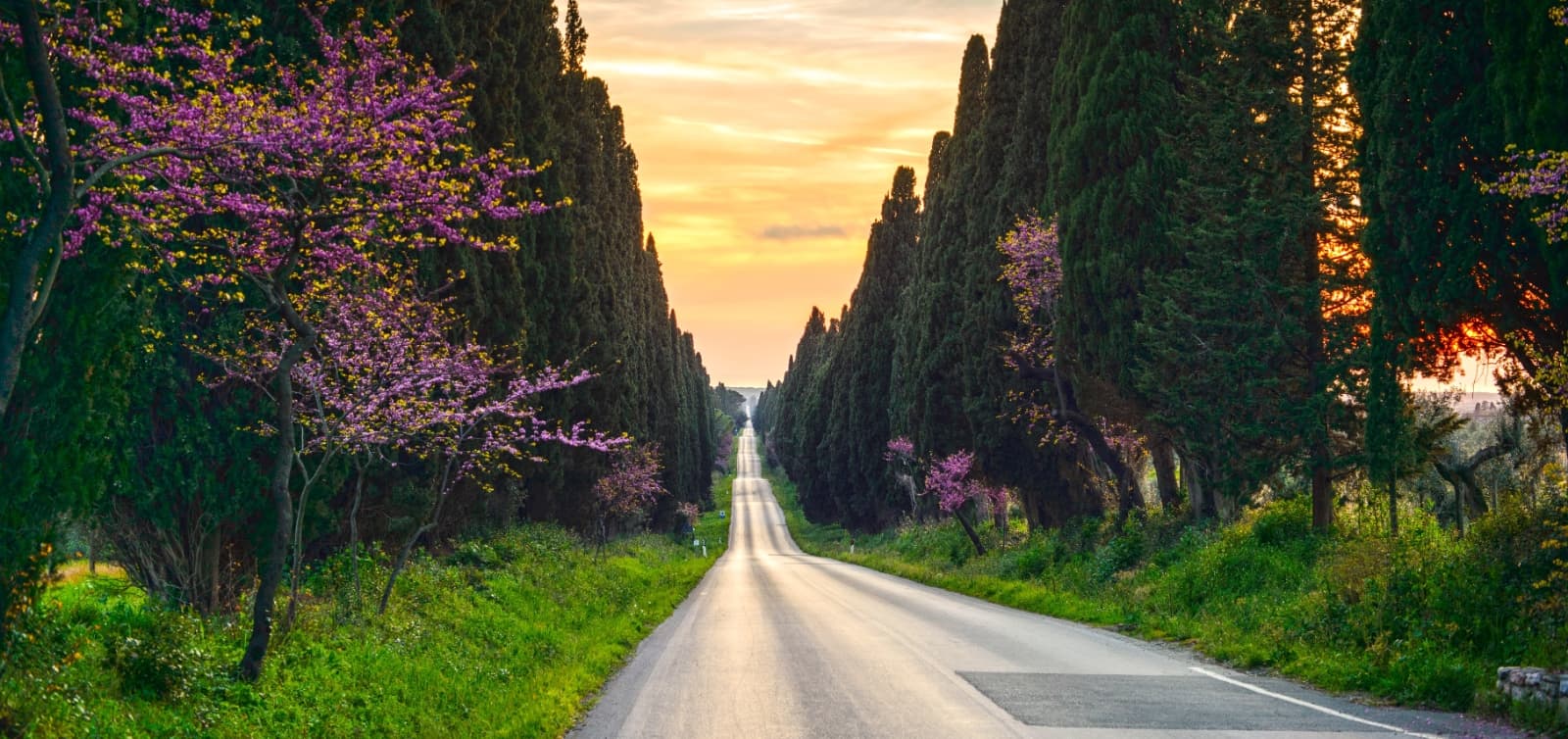 BOLGHERI I LIVORNO I TOSCANA
