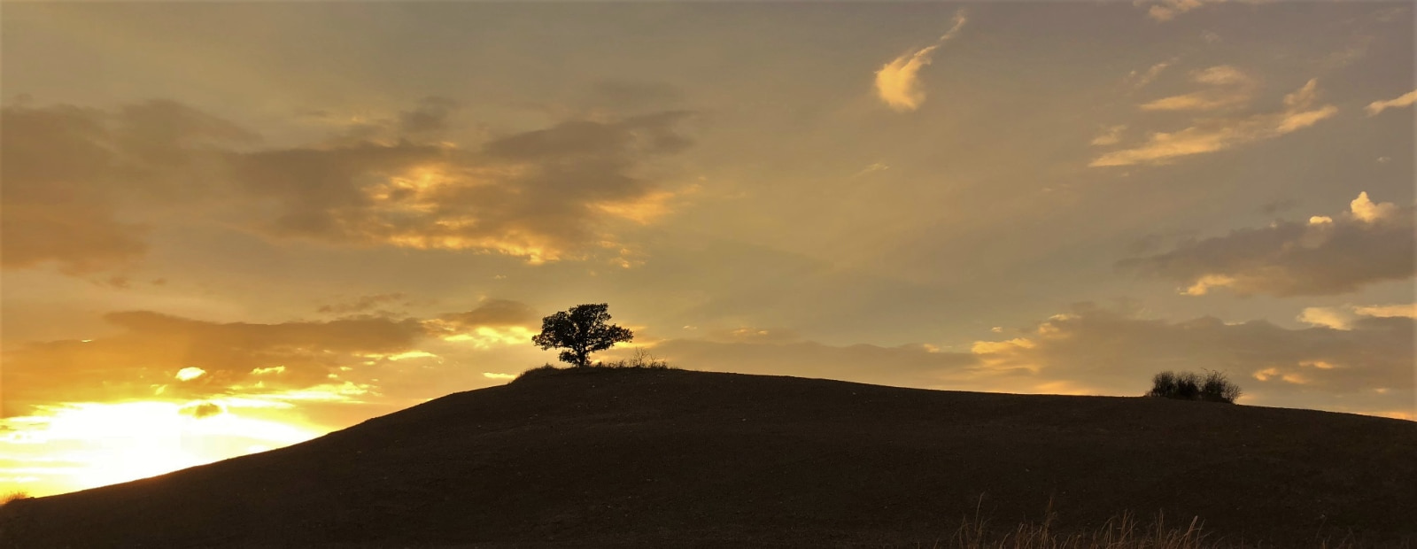 Feriebilleder fra Toscana
