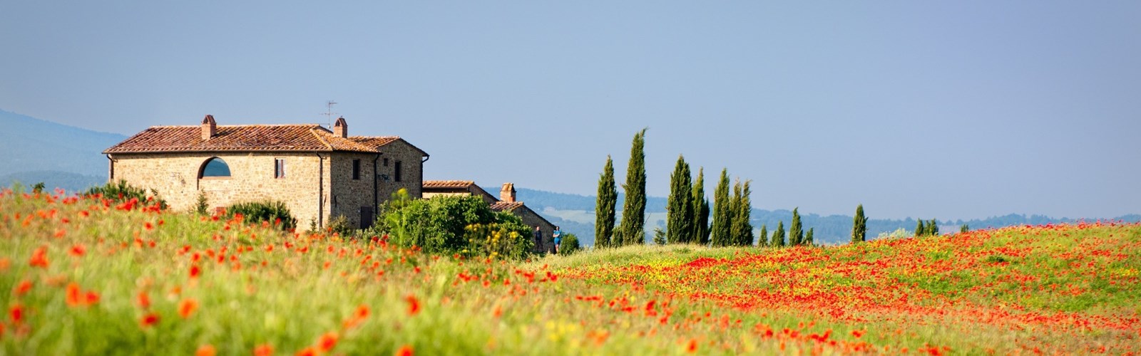 Landskab med bløde grønne bakker i Toscana i Italien