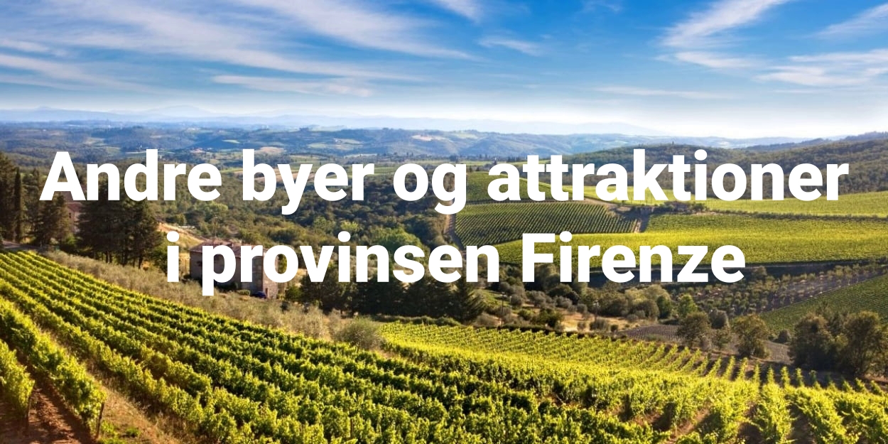 Firenze provinsen