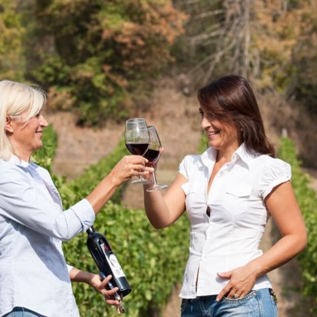 vingård i Toscana i Italien