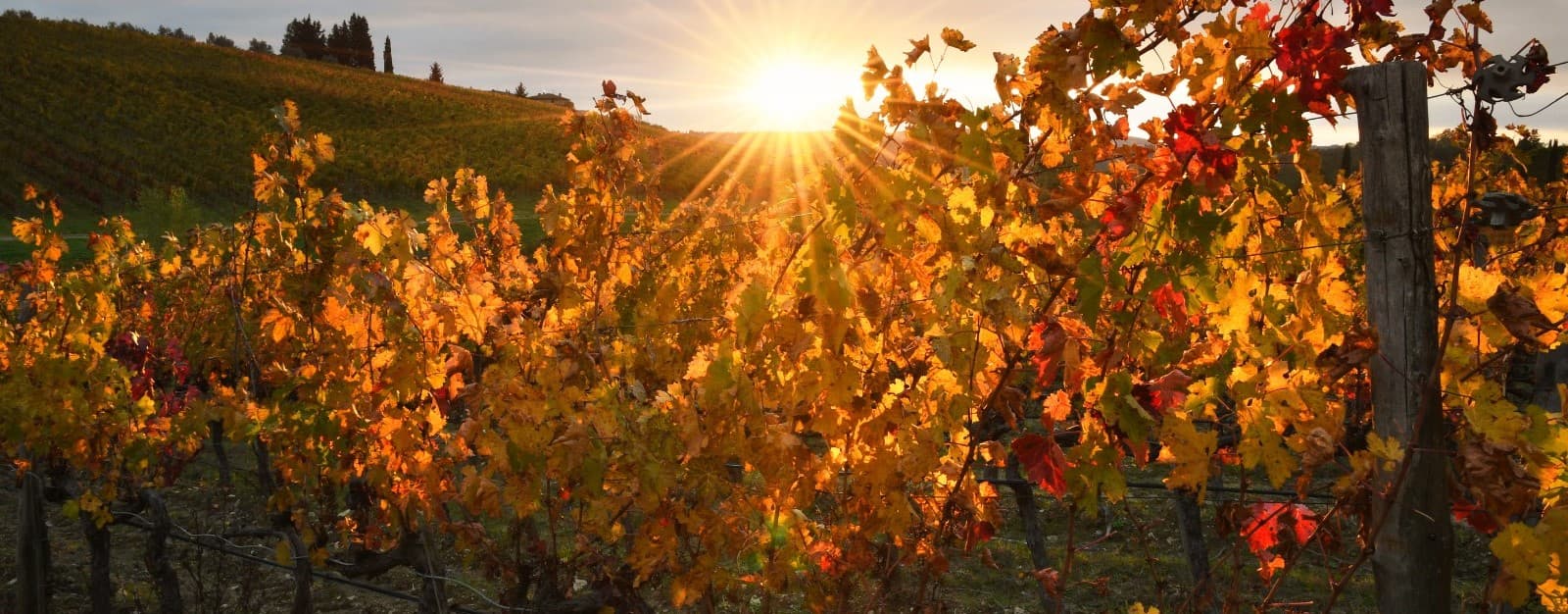 Toscana om efteråret