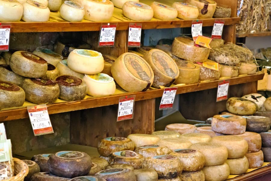 Pecorino ost fra Pienza