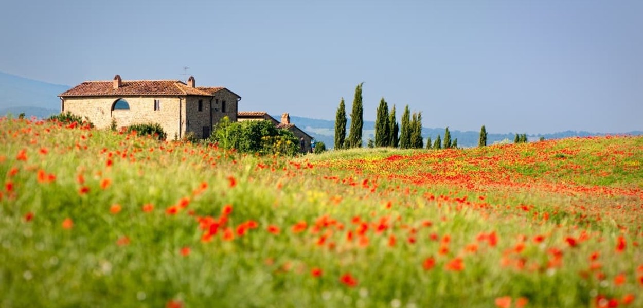 Feriebolig i Toscana - oplev en rejse i Italien med Toscana Vacanze