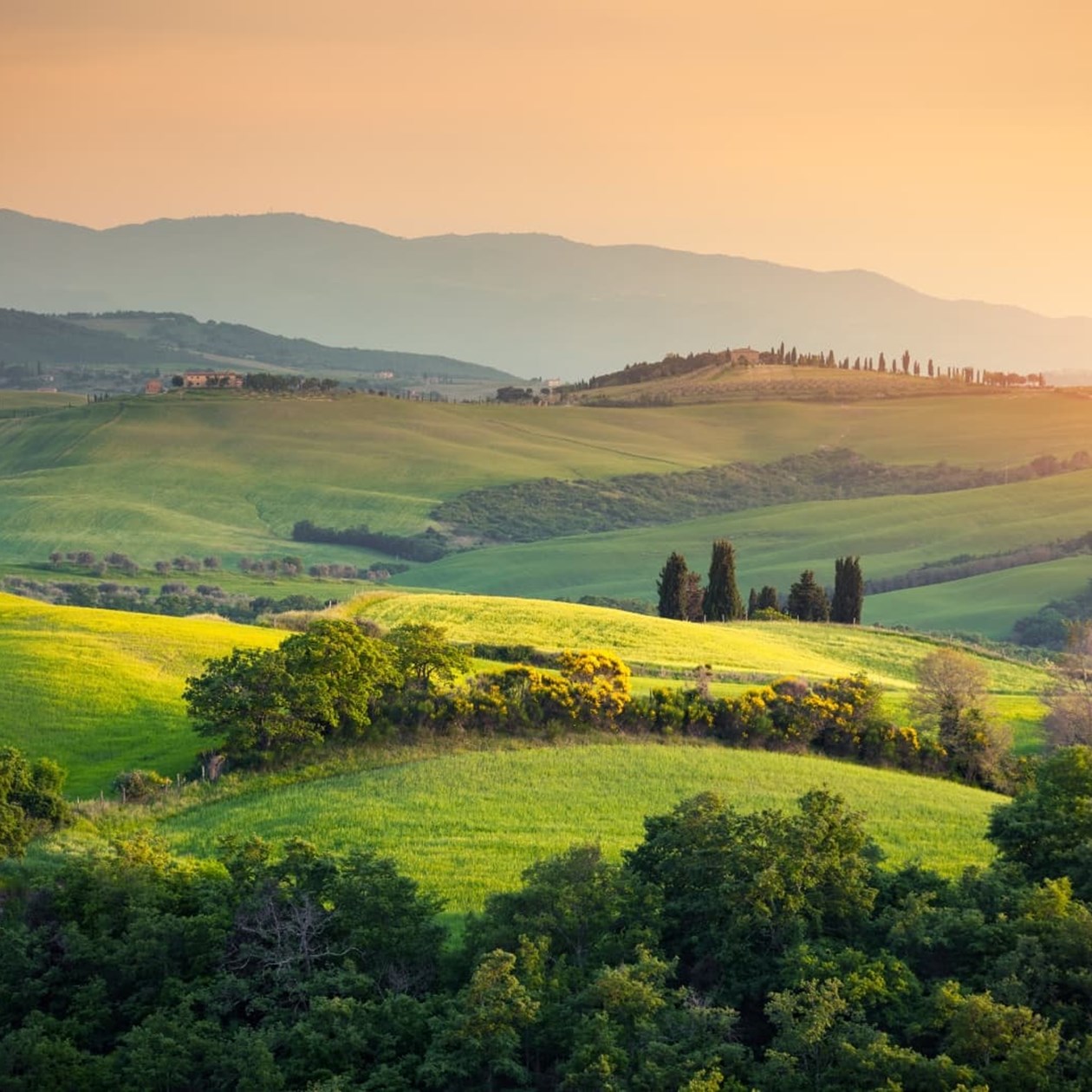 landskab i Toscana