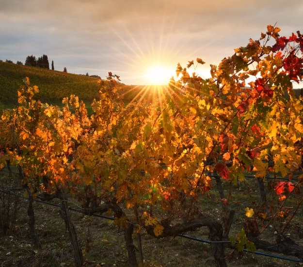 Toscana i efteråret