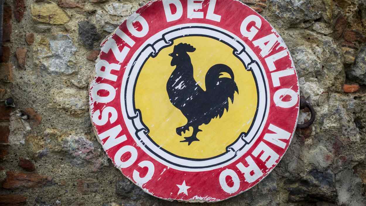 gallo nero