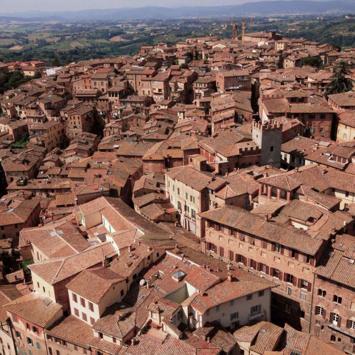 siena