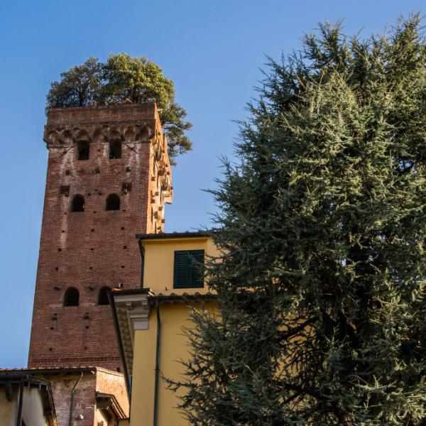 Torre Guinigi